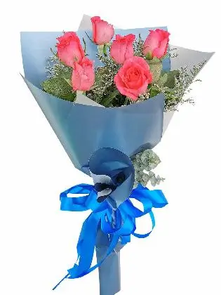 Pink Roses 6 Korean Blue Silver