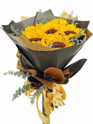 Sunflower Black Gold