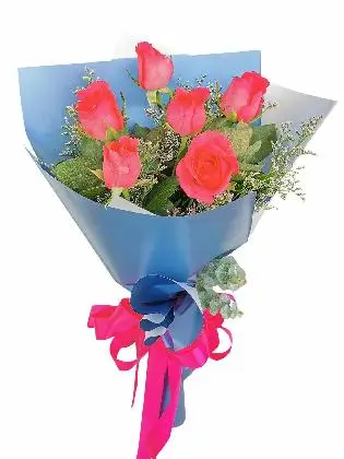 Pink Roses 6 Korean Blue Silver