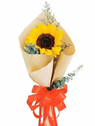 Sunflower Kraft Only