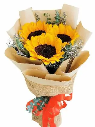 Sunflower Kraft Jute