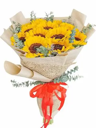 Sunflower Kraft Jute
