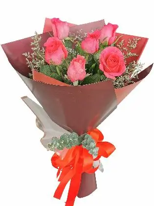Pink Roses 6 Korean Maroon White