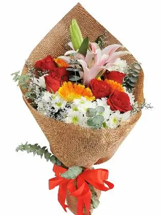 Mix Burlap ph/ch