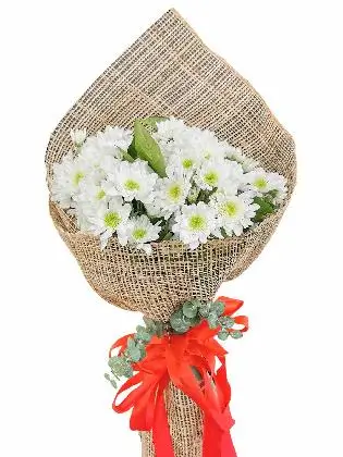 White Mums 12 Burlap PH