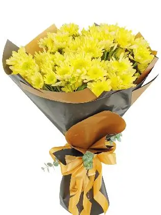 Yellow Mums 12 Black Gold