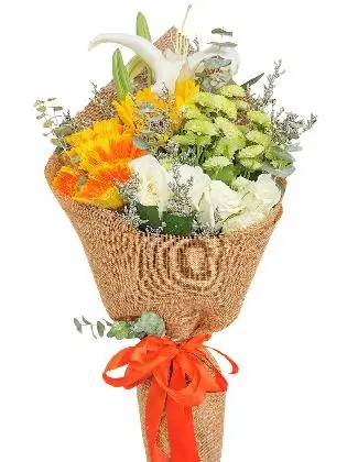 Burlap ph/ burlap ch