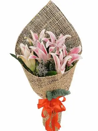 Pink Stargazer 6 Burlap PH
