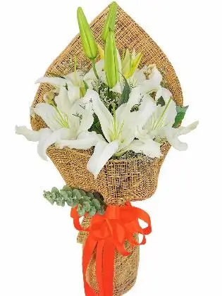 White Stargazers 6 Burlap PH