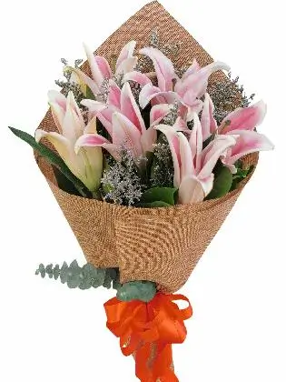 Pink Stargazer 6 Burlap CH