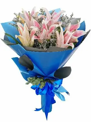 Pink Stargazers 6 Blue Silver