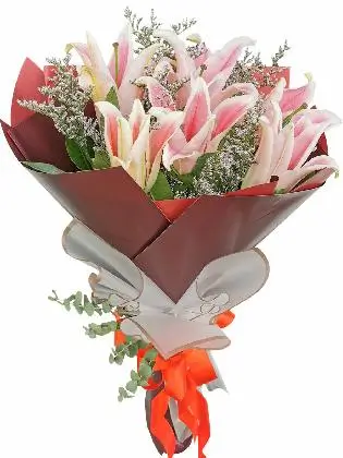 Pink Stargazers 6 Maroon White