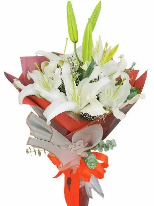 White Stargazers 6 Maroon White