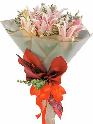Pink Stargazers 6 White Maroon