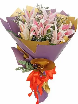 Pink Stargazer 6 Purple Gold