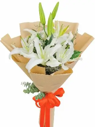 White Stargazers 6 Kraft