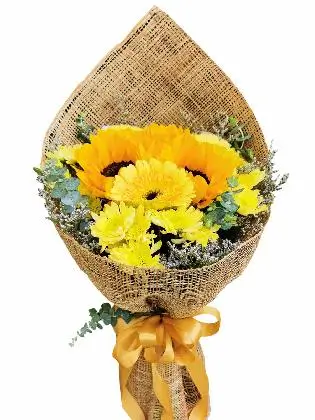 Burlap Ph / Burlap Ch