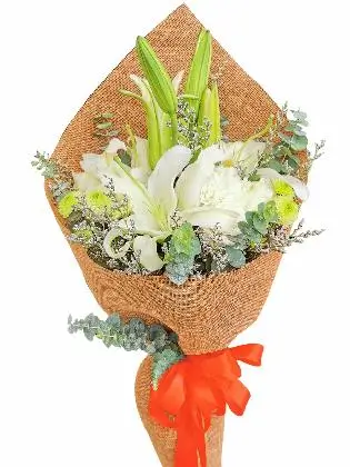 Burlap Ch / Burlap Ph