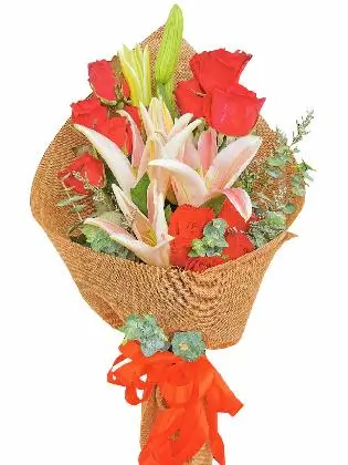 chinese/abaca