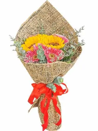 Abaca Burlap