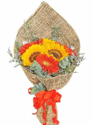 Abaca Burlap