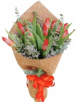 Chinese Burlap (12 Pcs)
