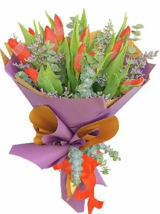 Purple Gold (12 Pcs)