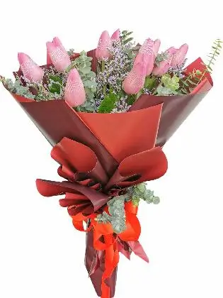 Maroon (12 Pcs)