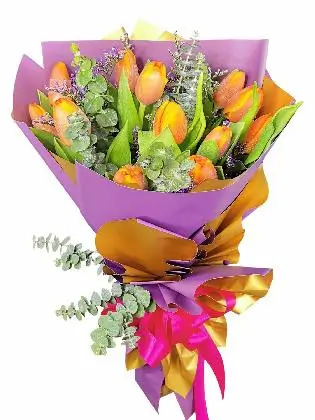 Purple Gold(12 Pcs)