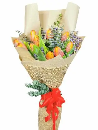 Kraft Jute (12 Pcs)