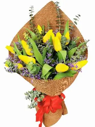 Chinese Burlap (12 Pcs)