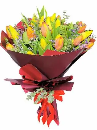 Maroon (24 Pcs)