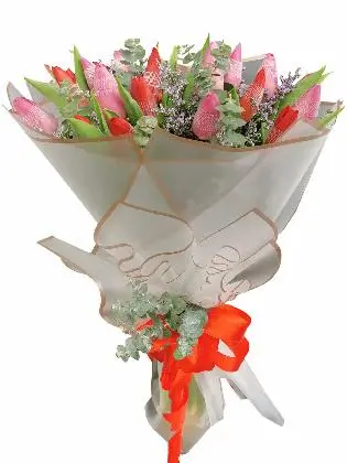 White (24 Pcs)