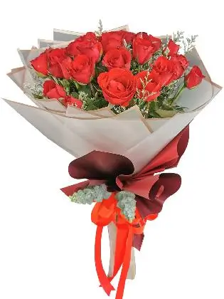 Red Roses 24 Korean White Maroon