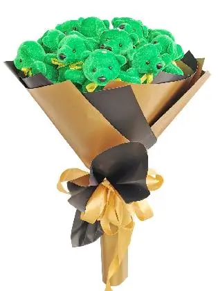 Green Bears 12 Black Gold