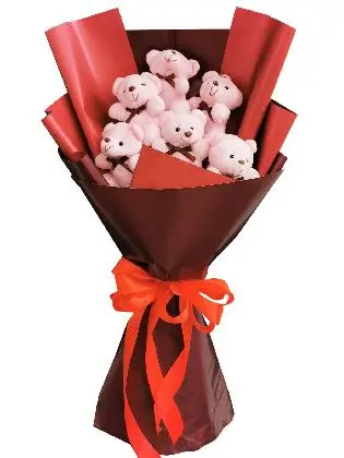 Pink Bears 6 Maroon
