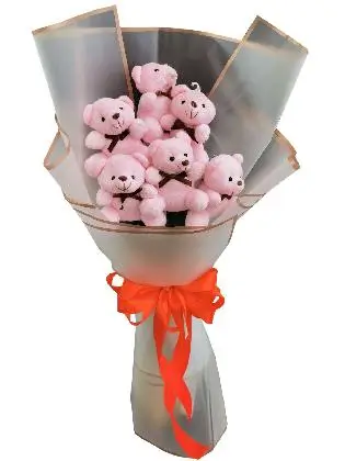 Pink Bears 6 White