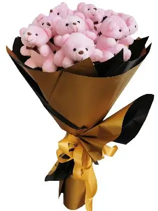 Pink Bears 12 Gold Black