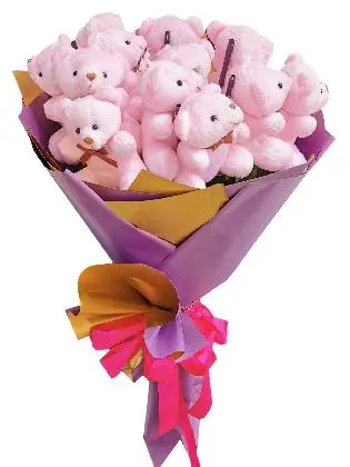 Pink Bears 12 Purple Gold