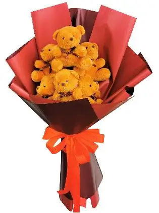 Small Brown Bears Maroon