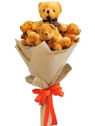 Brown Bears 7 Kraft