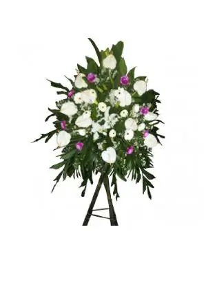 Sympathy Stand