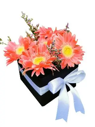 50 Pink Gerbera Love Box 002