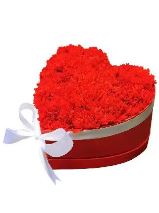 125 Red Carnation Heart Love Box 001