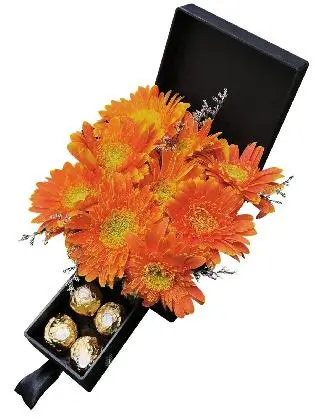 Gerbera Special Love Box 003