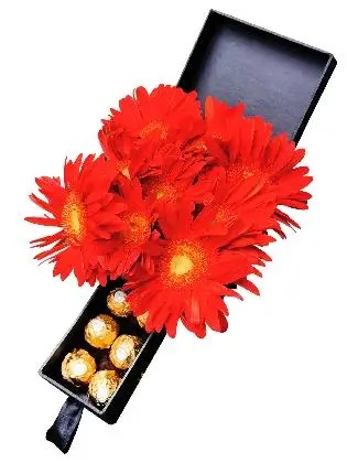 Gerbera Special Love Box 002