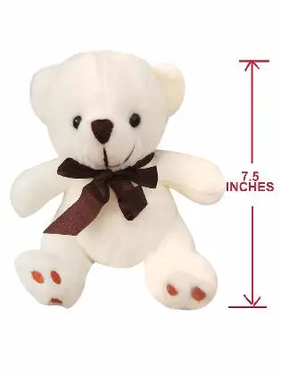 White Teddy Bear