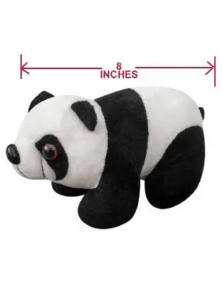 Panda Bear