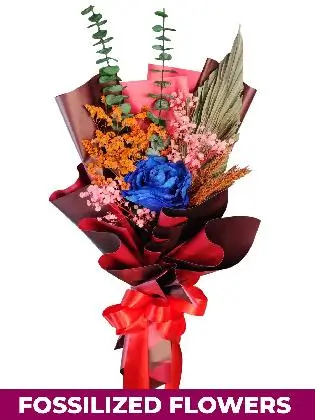 1 Dried Blue Rose Maroon Province