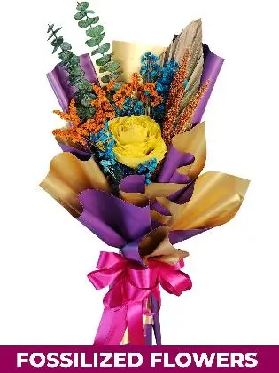 1 Dried Yellow Rose Purple/Gold Province